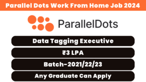 Parallel Dots Work From Home Job 2024